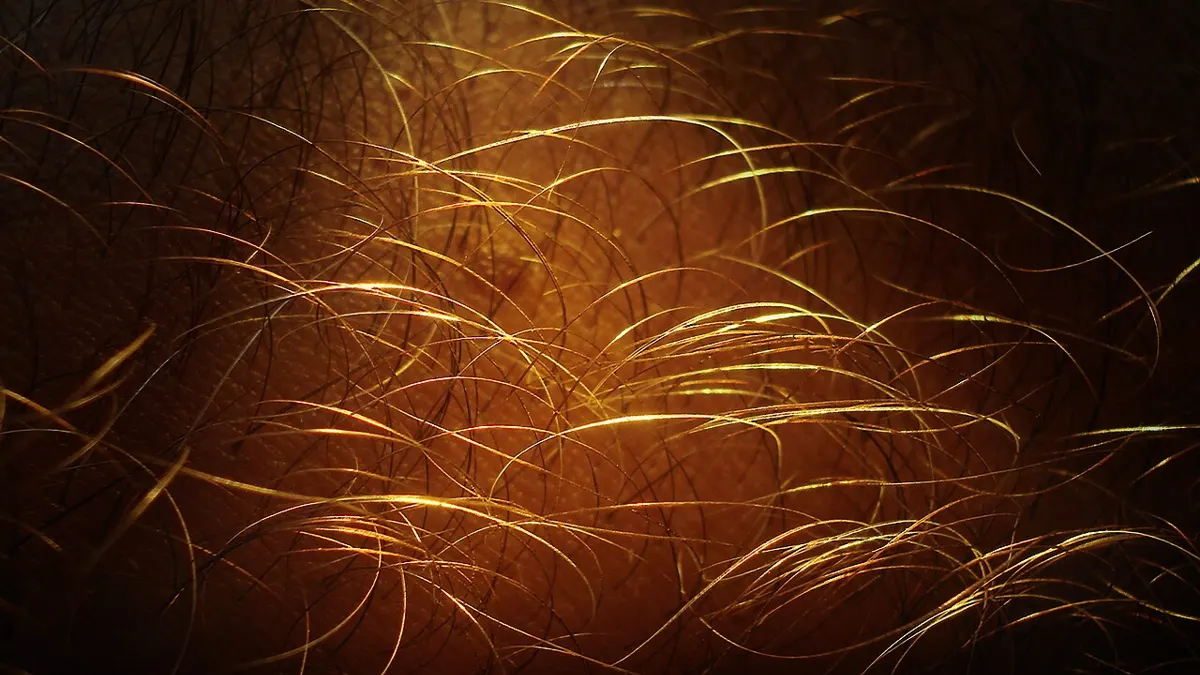 Hair care close-up - hair follicle drug test vs urine